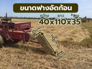 ขนาดฟางอัดก้อน