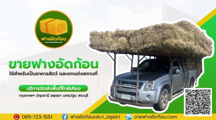 จำหน่ายฟางอัดก้อน