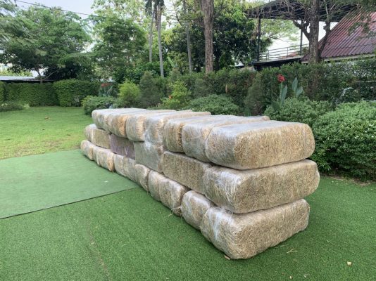วิธีเลือกซื้อฟางอัดก้อนคุณภาพดี