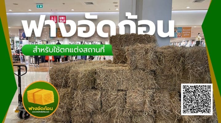 ฟางก้อนตกแต่งสถานที่
