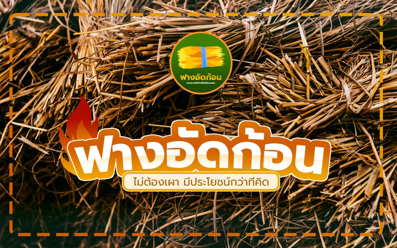 ฟางอัดก้อน มีประโยชน์