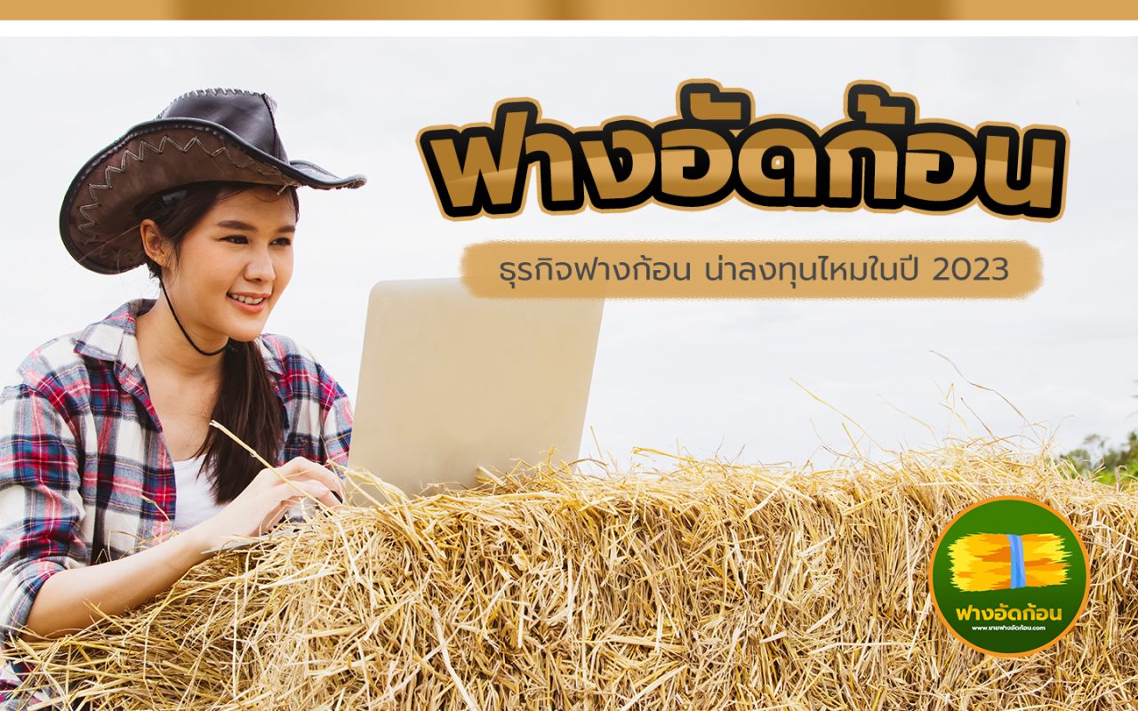 ธุรกิจฟางอัดก้อน