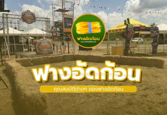 ฟางข้าวอัดก้อน