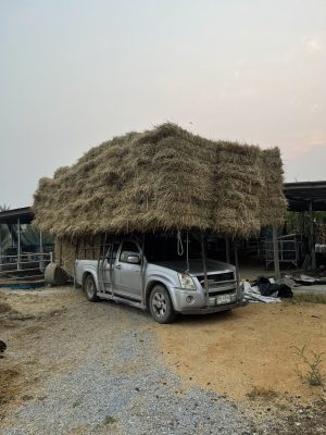 ส่งฟางอัดก้อนทั่วไทย