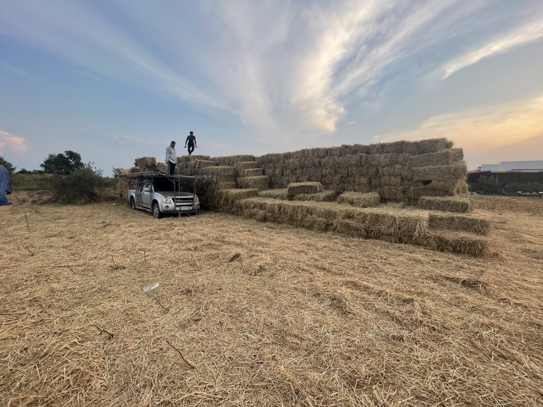 ฟางอัดก้อน