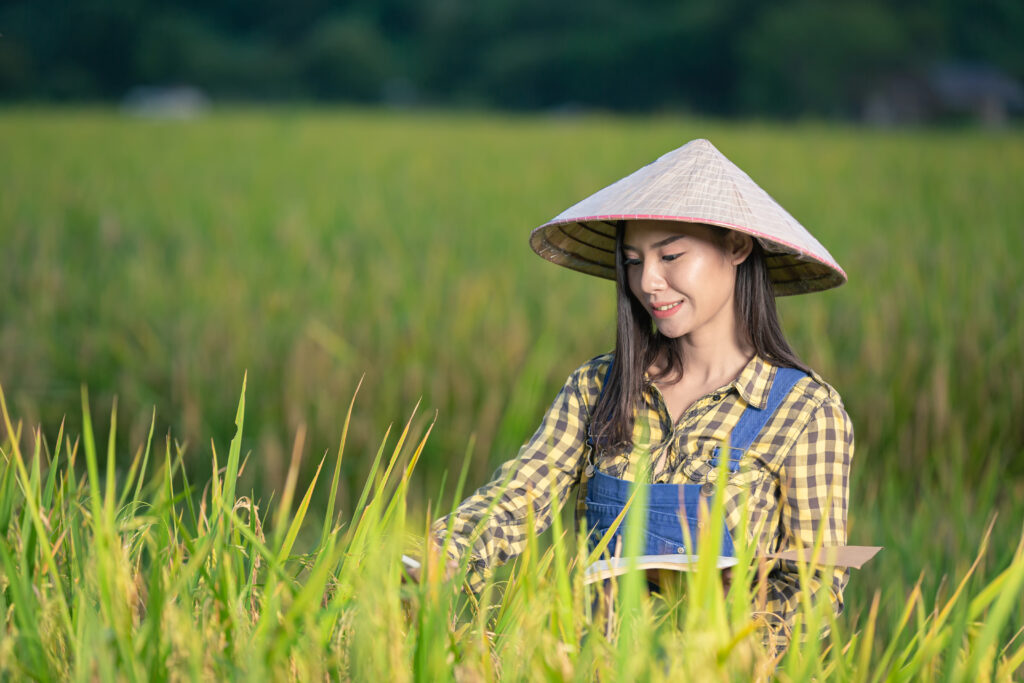 happy asian female write notes rice fields