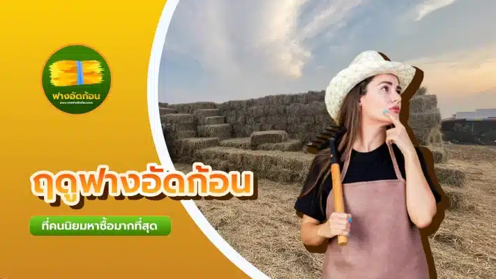 ฤดูฟางอัดก้อน
