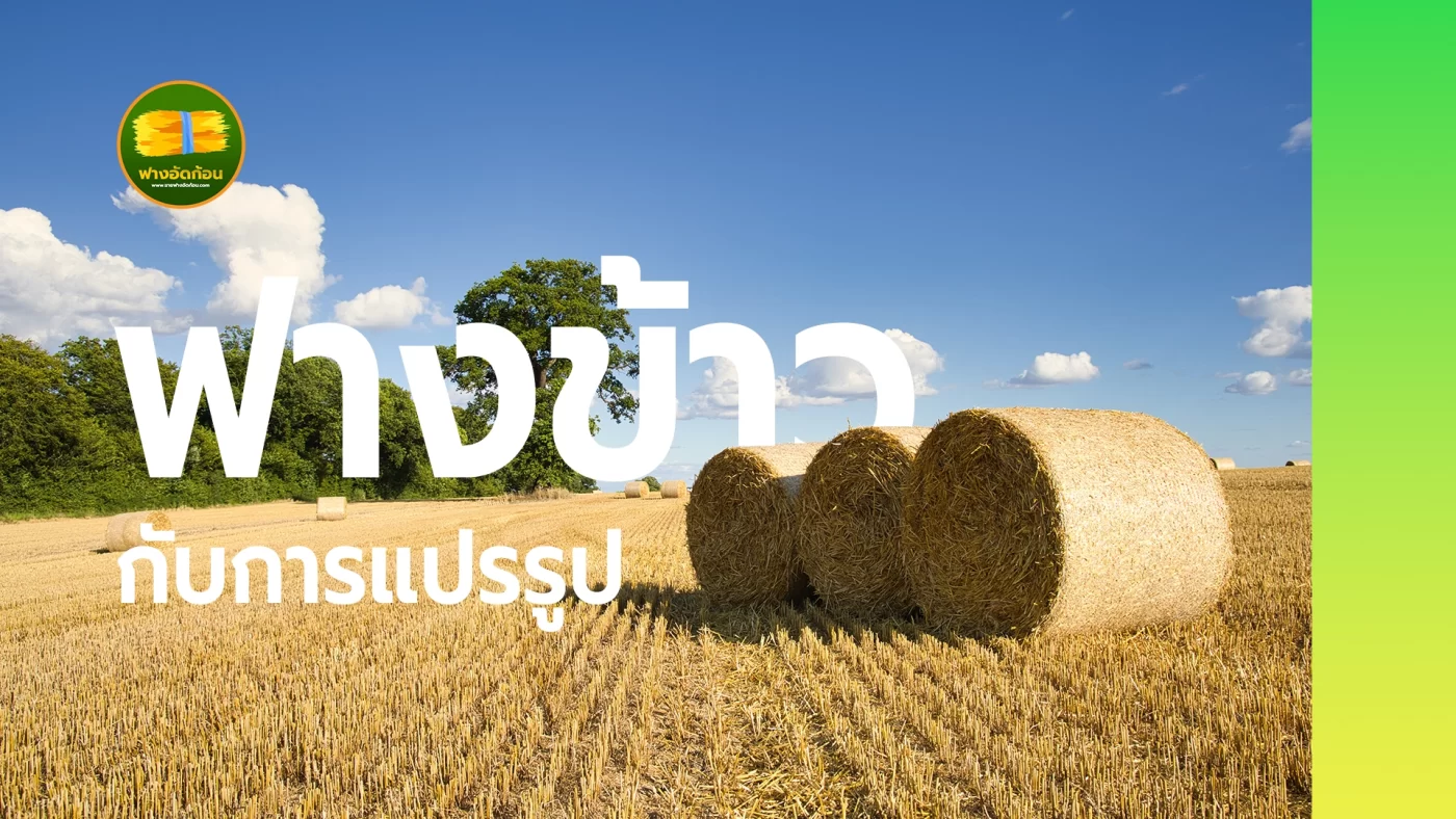 ฟางข้าว กับการแปรรูป