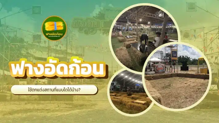 ฟางอัดก้อน 26 11 2023