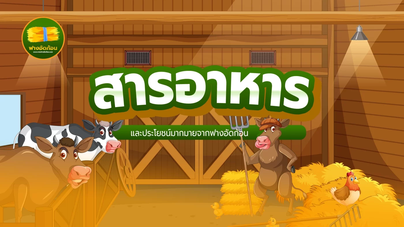 สารอาหารจากฟางอัดก้อน