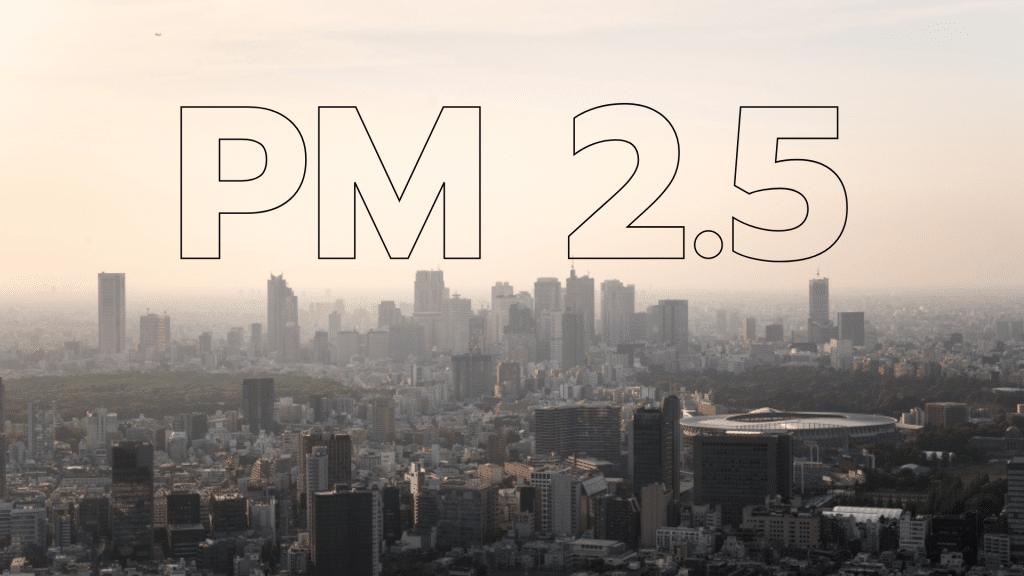 ฝุ่น PM 2.5 คืออะไร ต้นเหตุและวิธีแก้ปัญหาแบบยั่งยืน