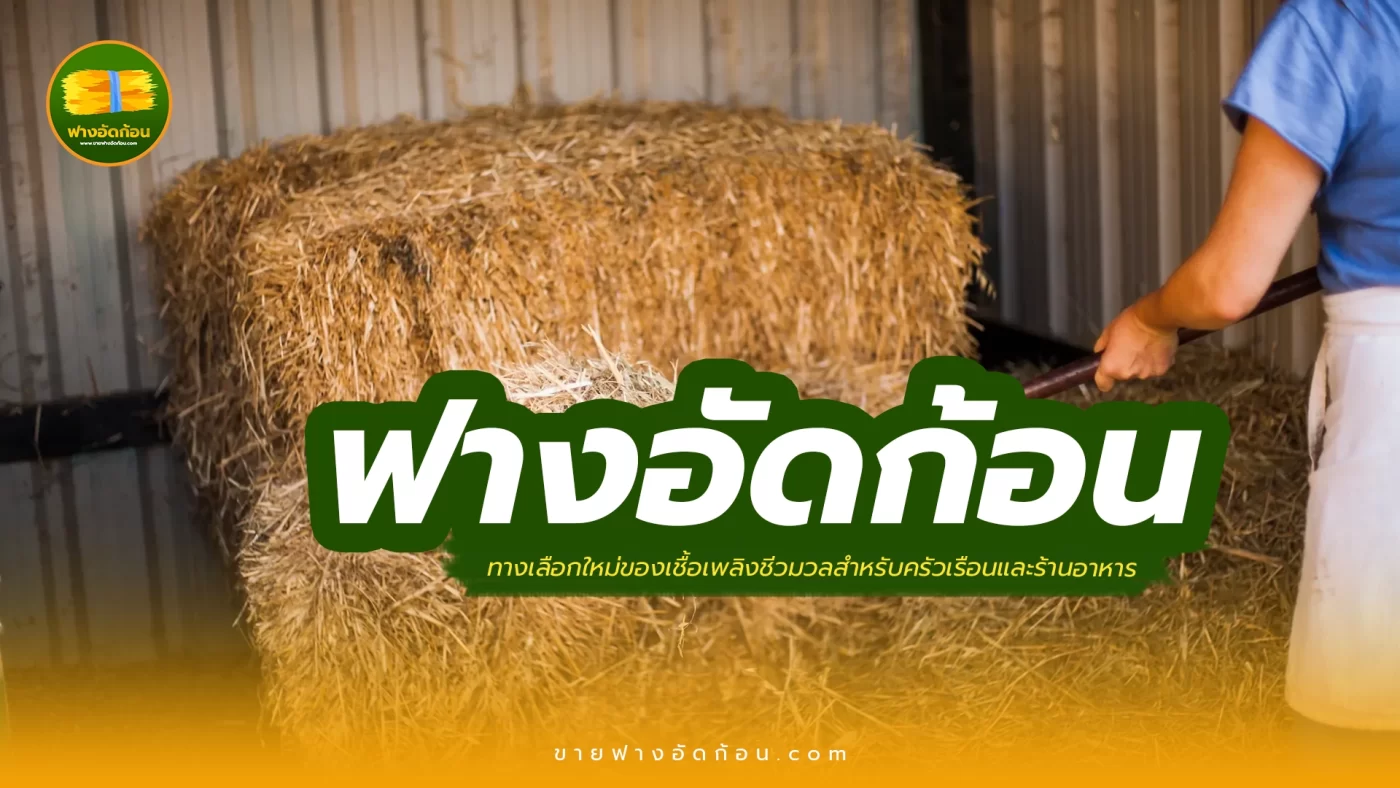 ฟางอัดก้อน ทางเลือกใหม่ของเชื้อเพลิงชีวมวลสำหรับครัวเรือนและร้านอาหาร