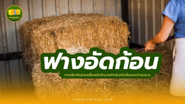 ฟางอัดก้อน ทางเลือกใหม่ของเชื้อเพลิงชีวมวลสำหรับครัวเรือนและร้านอาหาร
