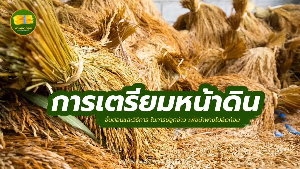 ขั้นตอนและวิธีการเตรียมหน้าดิน ในการปลูกข้าว เพื่อนำฟางไปอัดก้อน