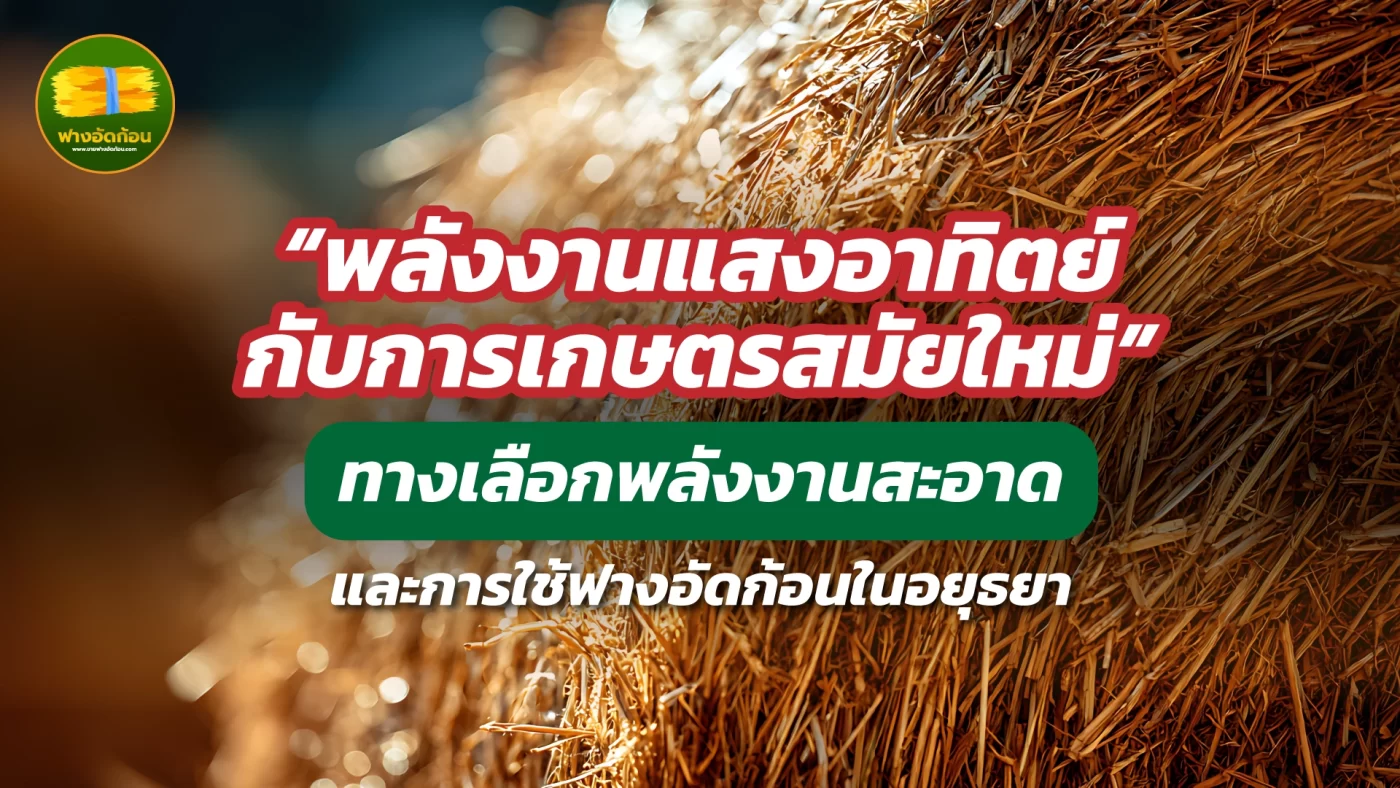 "พลังงานแสงอาทิตย์ กับการเกษตรสมัยใหม่" ทางเลือกพลังงานสะอาดและการใช้ฟางอัดก้อนในอยุธยา