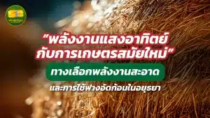 "พลังงานแสงอาทิตย์ กับการเกษตรสมัยใหม่" ทางเลือกพลังงานสะอาดและการใช้ฟางอัดก้อนในอยุธยา