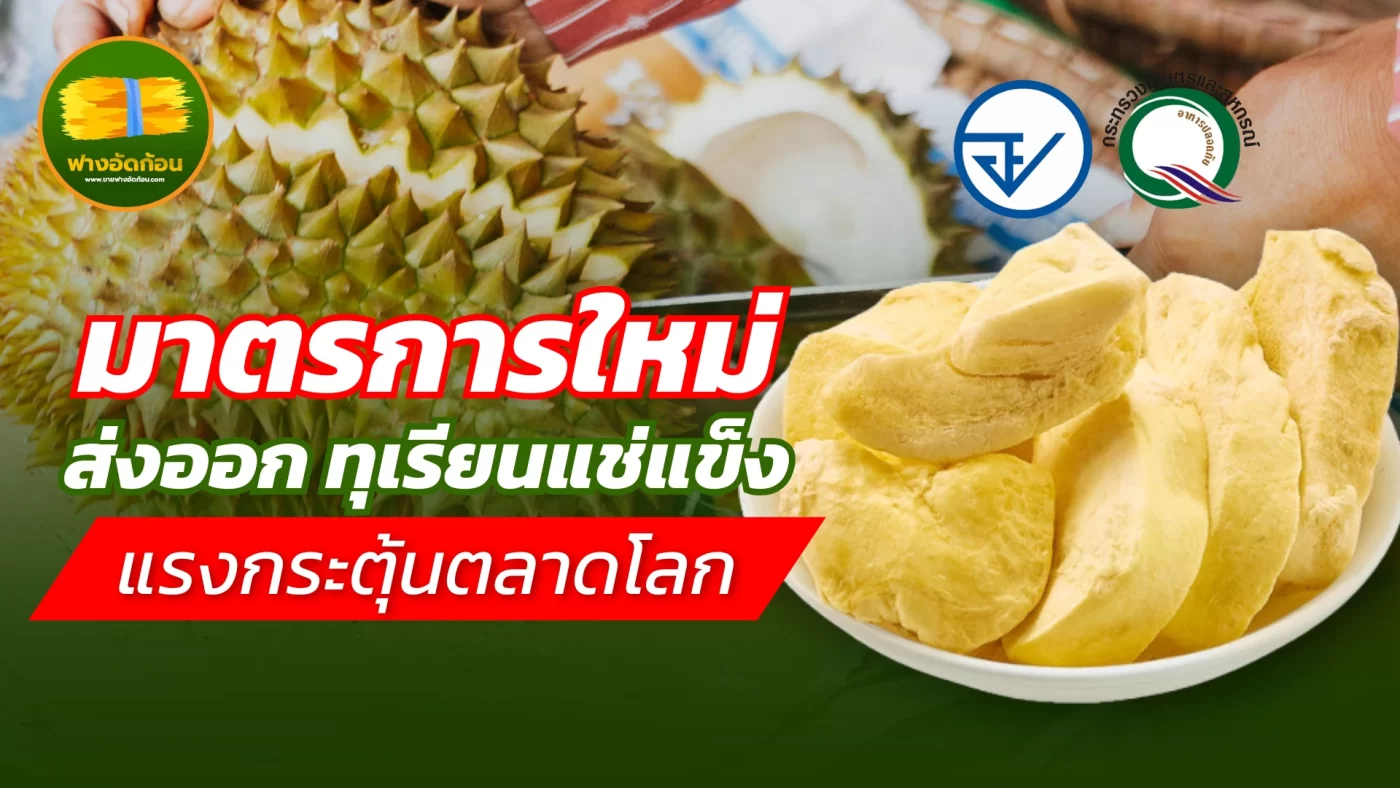 มาตรการใหม่ส่งออก ทุเรียนแช่แข็ง แรงกระตุ้นตลาดโลก