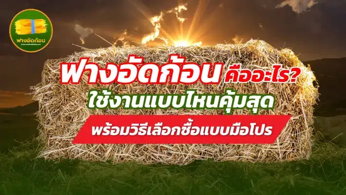 ฟางอัดก้อน คืออะไร? ใช้งานแบบไหนคุ้มสุด พร้อมวิธีเลือกซื้อแบบมือโปร