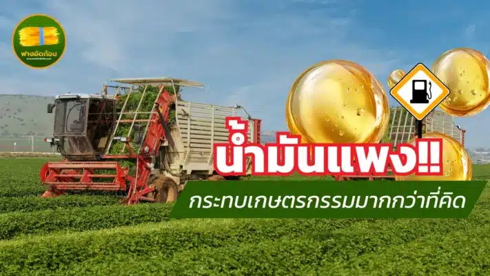 น้ำมันแพง กระทบเกษตรกรรมมากกว่าที่คิด