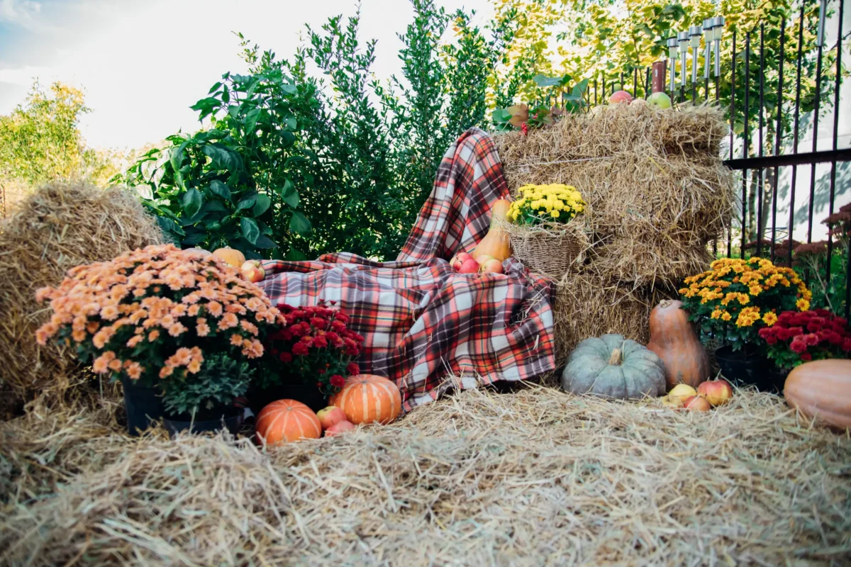 ตกแต่งสวน