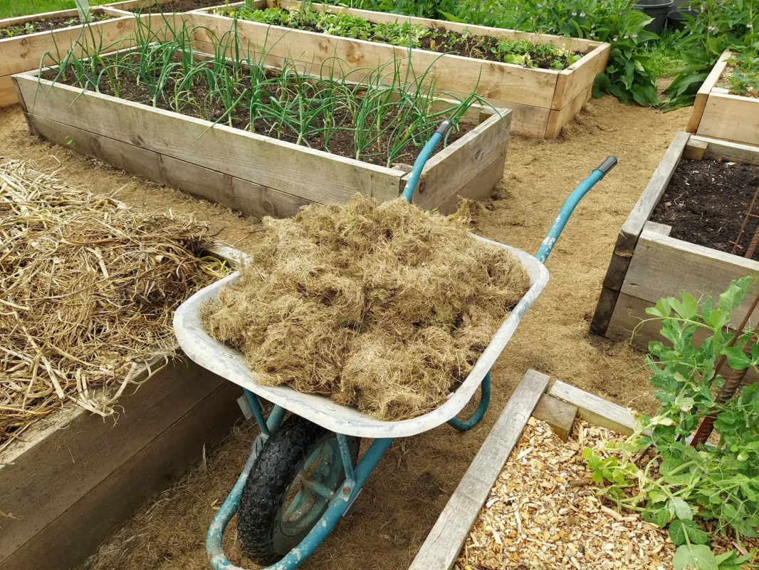 ทำแปลงปลูกผักแบบ Raised Bed