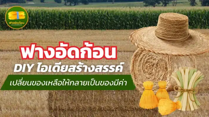 ฟางอัดก้อน DIY ไอเดียสร้างสรรค์ เปลี่ยนของเหลือให้กลายเป็นของมีค่า