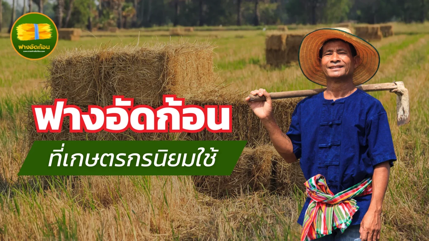 ฟางอัดก้อน ที่เกษตรกรนิยมใช้