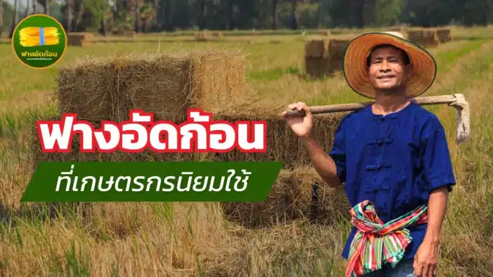 ฟางอัดก้อน ที่เกษตรกรนิยมใช้