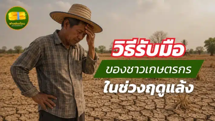 วิธีรับมือของชาวเกษตรกรในช่วงฤดูแล้ง