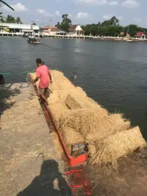 ฟางอัดก้อน เสนา 3