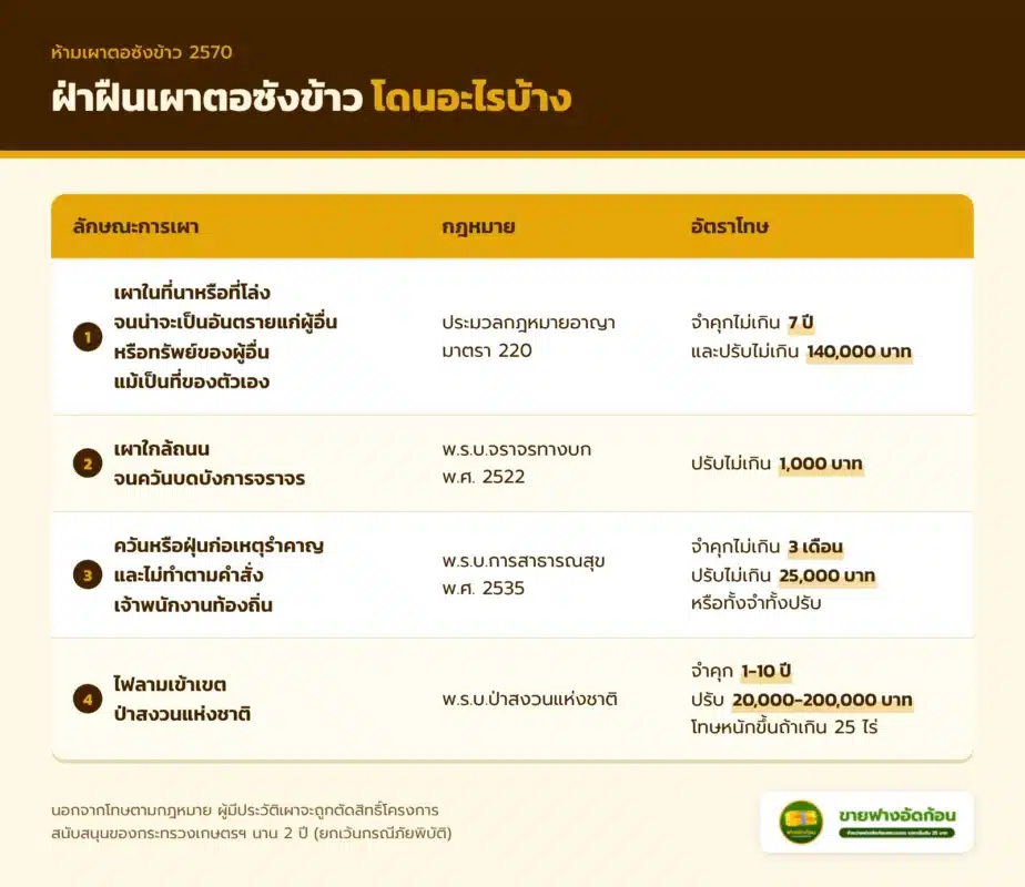 ทางเลือกแทนการเผาตอซังข้าว